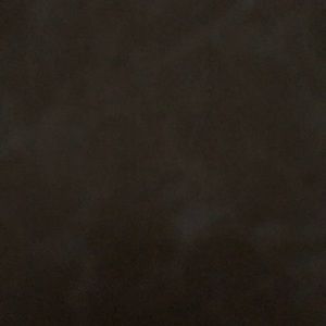 Meet your Posher, Lidia